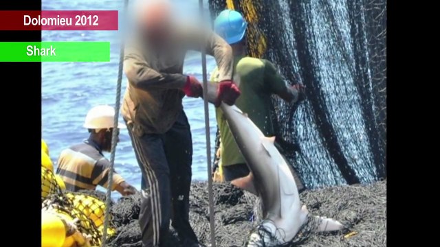 Buying tuna? How John West is still using horrific fishing methods