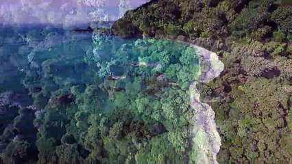 Nouvelle- Zélande : l'audace des kiwis - Echappées Belles