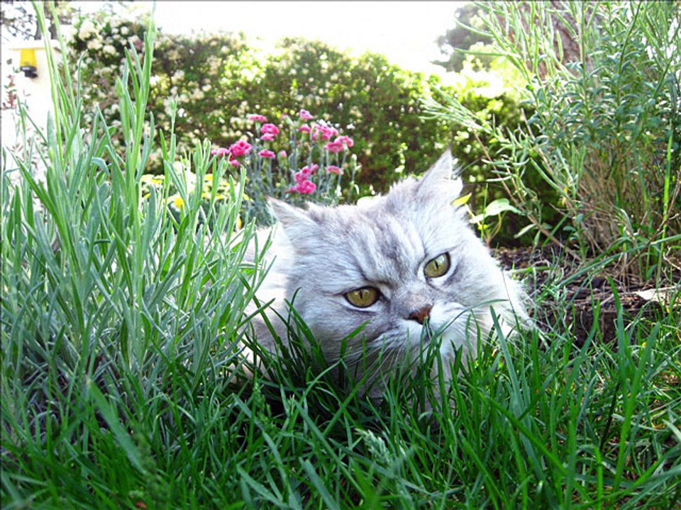 C'était ma petite beauté