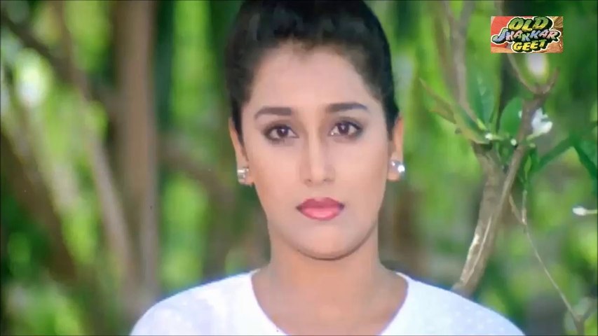 Dil Ko Bewaja Dhadakne Ki (((Jhankar))) HD ,Tahqiqaat (1993), frm AAmir