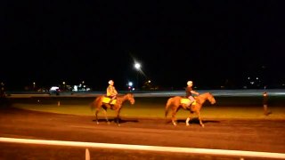 Runners at Rosehill 29 March 2014