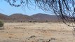 Elephants at the waterhole of Tau Lodge, Madikwe Game Reserve. S. Africa, Sept. 28, 2015