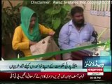 Daily News Bulletin - 9th June 2016