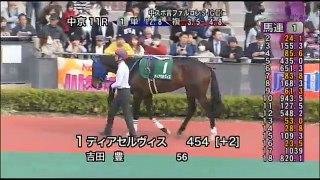 2013年 第27回中日スポーツ賞ファルコンステークス（GIII） パドック