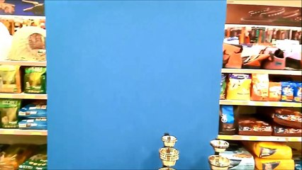 Inverted Antielephant 23 - Ovo je moja koala (This is my koala)