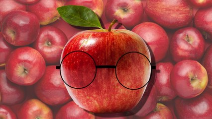 Discover Wizardland at Avalon Expo! ✨ Sign Up Now