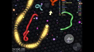 Slither champ to loozer | Slither.io
