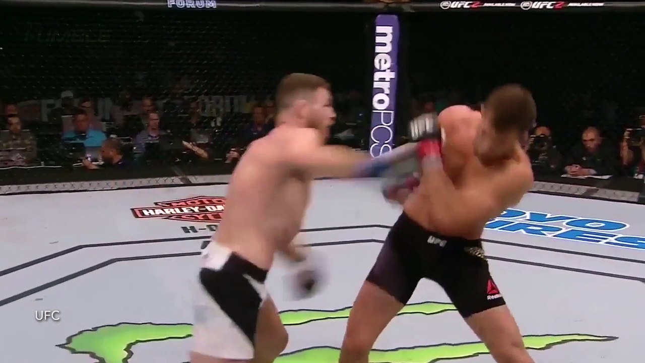 Michael Bisping Viciously KOs Luke Rockhold at UFC 199