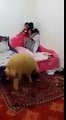 Pashto Funny Videos - Funny Pathan Kid Scared Of Animal