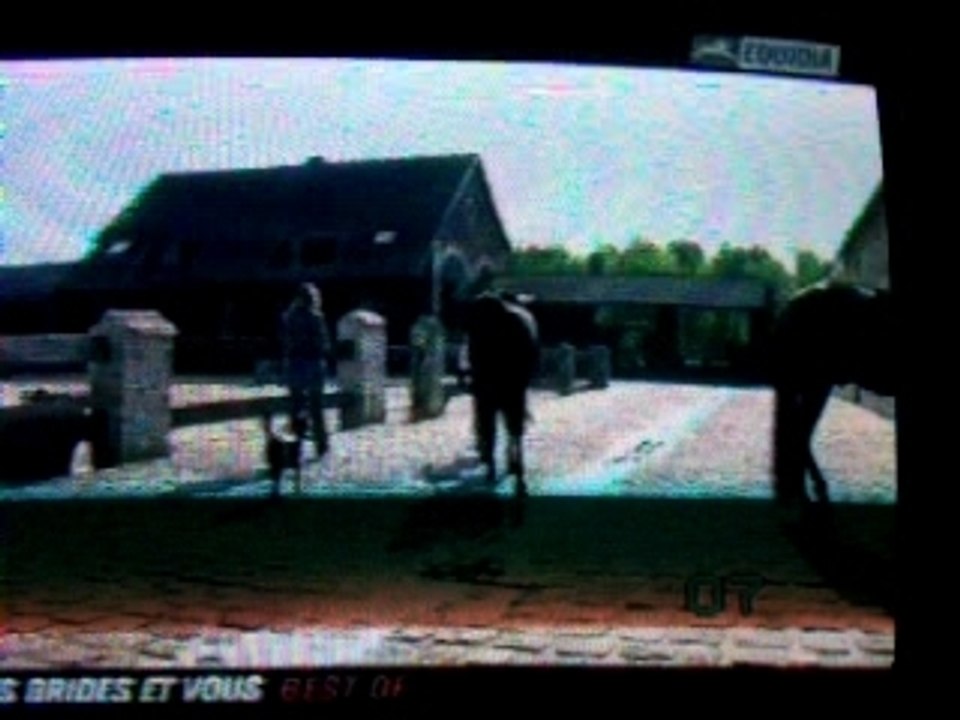 equidia "des brides et vous"