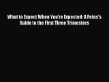 Download What to Expect When You're Expected: A Fetus's Guide to the First Three Trimesters