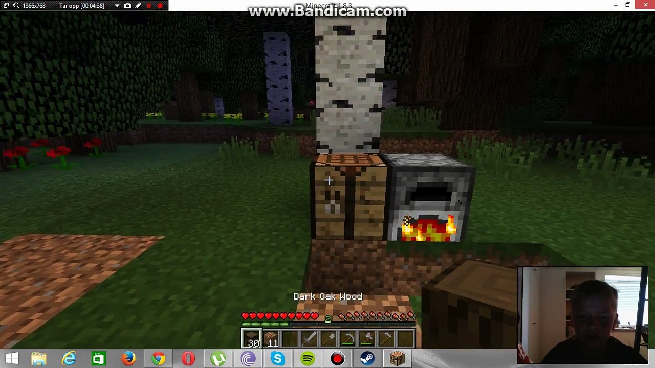 Minecraft med felixlukas2 episode 1