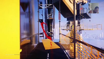 Mirrors edge (43)