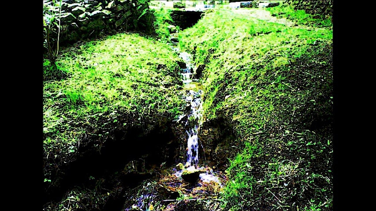 Les Flotteurs les Forestiers - Rohan Le Barde