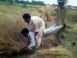 Pakistani Funny Tresure - Pakistani Funny Clips - Pashto Funny Videos