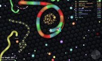 Slither.io pretty sure they ran out of ideas