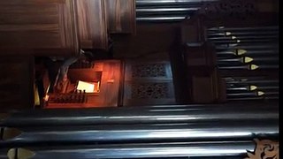 Ps 25 op het Flentrop orgel in de Sionkerk te Goes