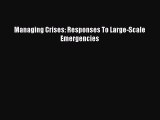Read Book Managing Crises: Responses To Large-Scale Emergencies E-Book Free