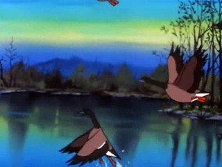 40° episodio: Nils e il lupo