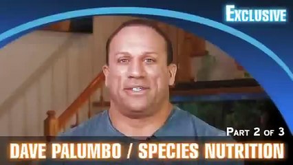 Dave Palumbo Bodybuilding Diet Tips Part 2