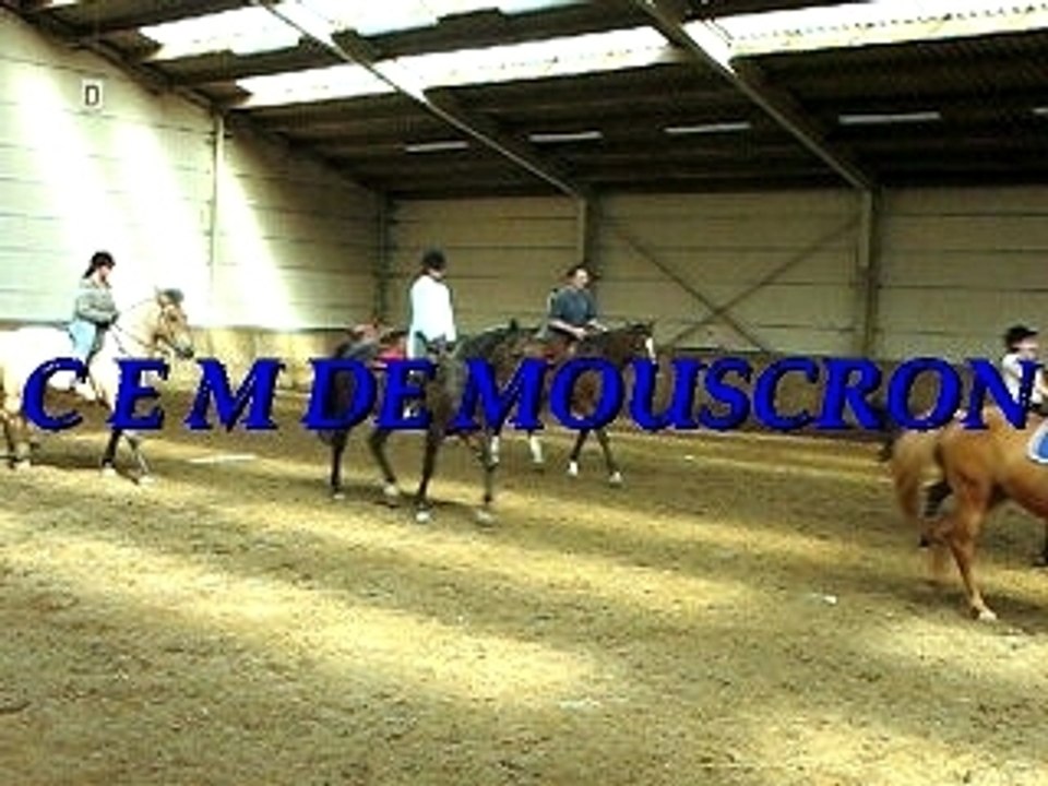 Movie 1equitation