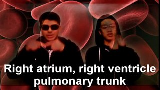 The 21/20 Crew - The Circulatory System Rap: Remember The Barry