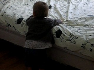 Enfin debout ! A la poursuite du chat ...