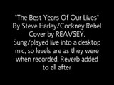 The Best Years Of Our Lives - Steve Harley / Cockney Rebel - Cover by Reavsey