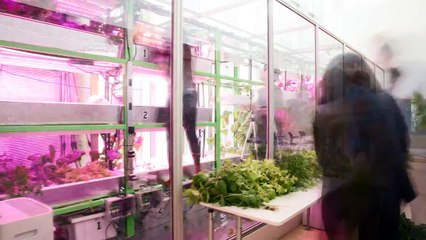 2015 08 26 Harvest ProRes 422 4K 23 976 VHQ++ 2xFast small