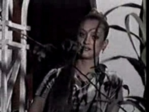 Faites la rencontre de Toto70 sur pointscommuns