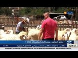 الموالون ...بورصة اسعار المواشي خارج الرقابة !!
