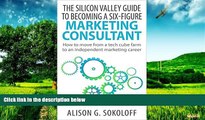 READ FREE FULL  The Silicon Valley Guide to Becoming a Six-Figure Marketing Consultant: How to