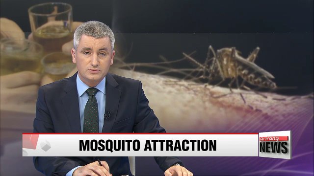 Alcohol consumption attracts mosquito bites