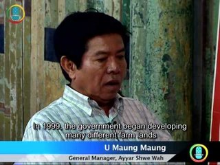 DVB Debate "There is no reason to return this land" (English)