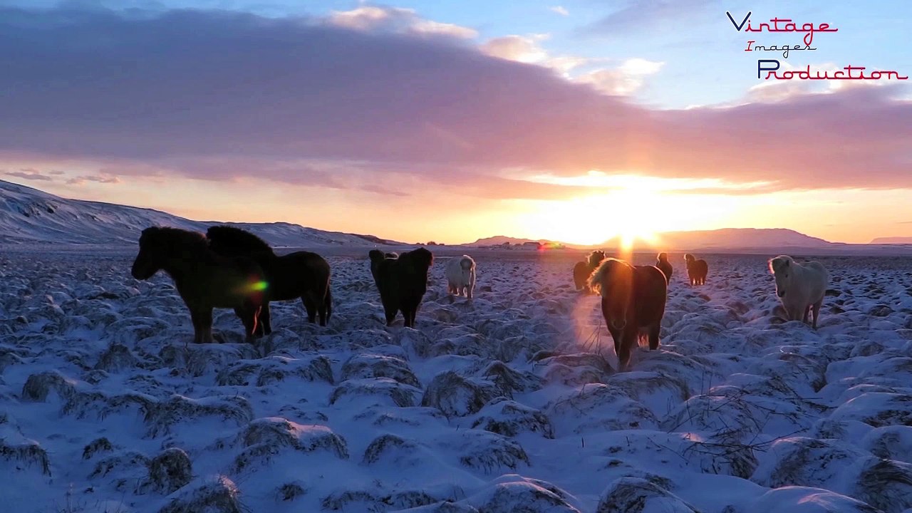 Les volcans, les geysers, les aurores boréales en Islande, c'est magique !
