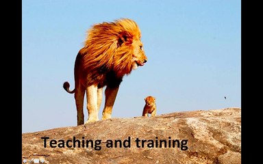 LEO Training For Sign Up Members By Atif Kamran