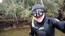 Passeio, mergulhando ao Paraíso Ecológico do Rio Puruba, Rio Quiririm, Litoral Norte de Ubatuba, Marcelo Ambrogi,  São Paulo, Brasil,  praias e mares