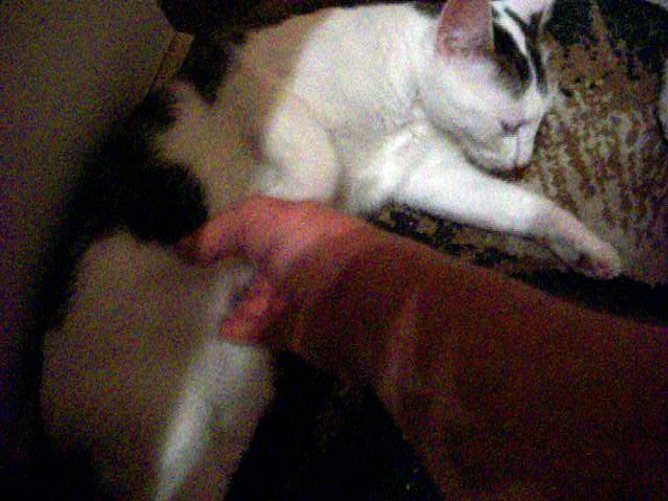 Vinzent am 19.08.2016