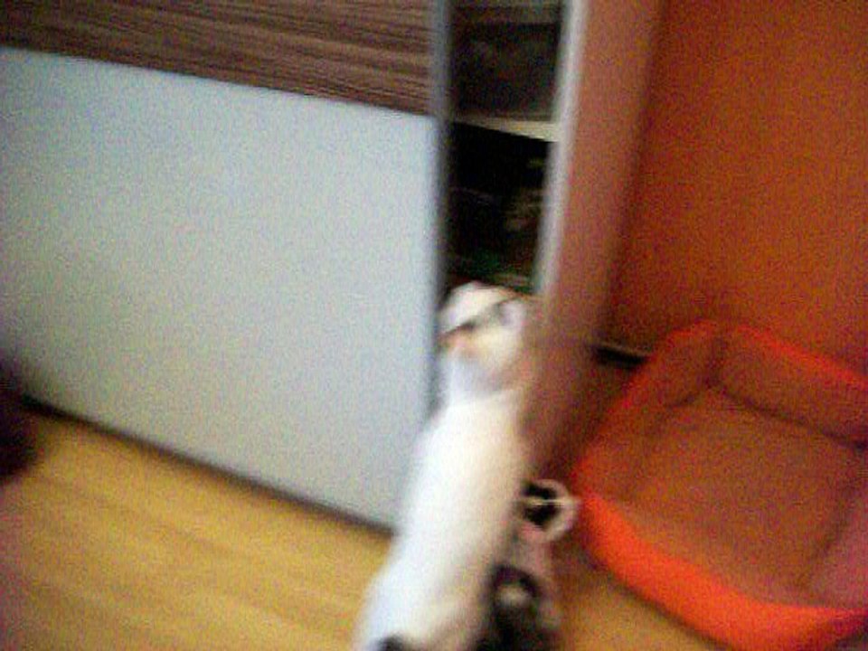 Vinzent am 20.08.2016