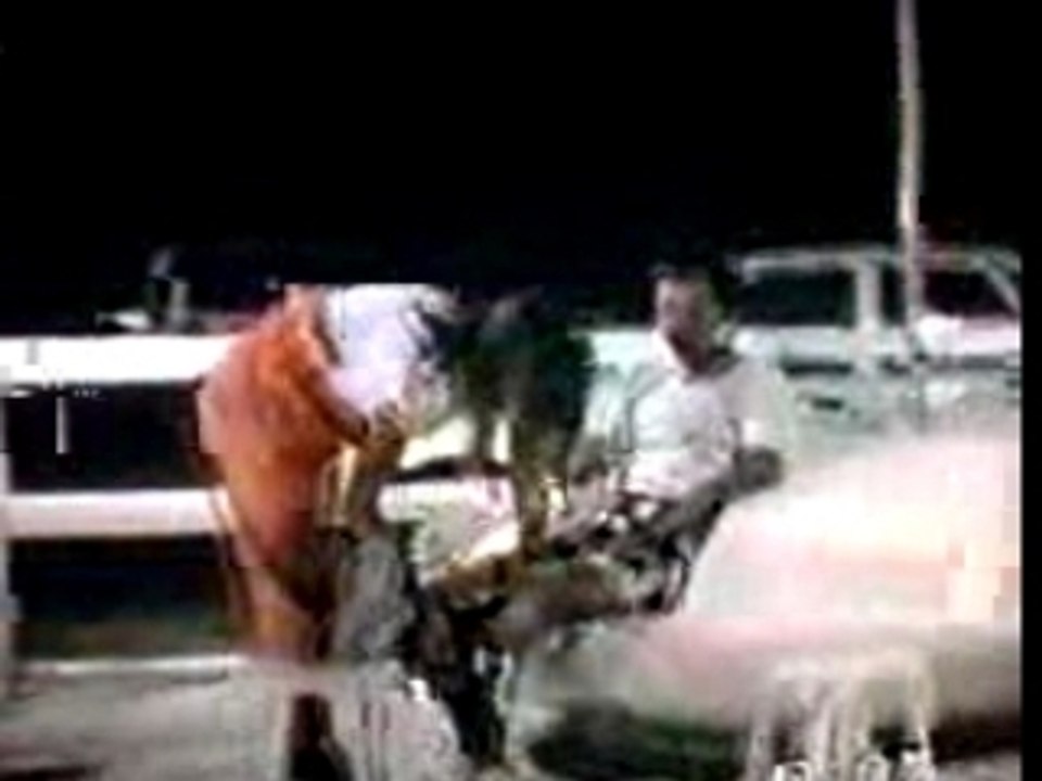 Patrizio saute d'une grue PAR PATRIZIO CONTI