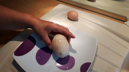 Un oeuf dans un oeuf