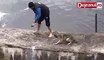Un homme sauve un chien de la noyade, mais c'est ce que fait le chien après qui fait chaud au cœur!