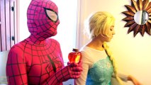 Frozen Elsa & Joker Wedding!!!  Spiderman, Pink Spidergirl, Elsa & Ariel Mermaids, Maleficent