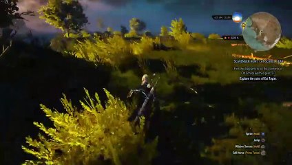 Witcher 3 noob (5)