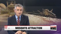Alcohol consumption attracts mosquito bites