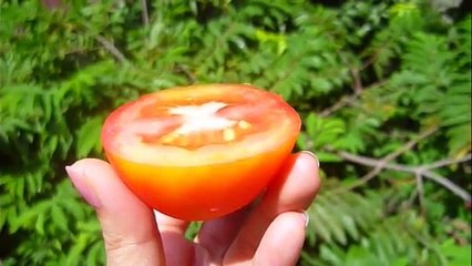 Asian Beauty- Rice powder face mask