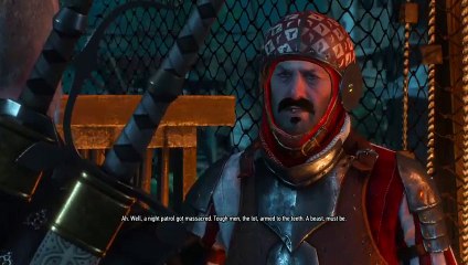 Witcher 3 noob (6)