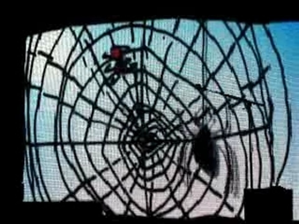 pascal obispo grenoble (juin 2007)