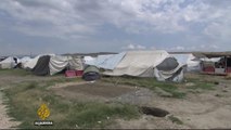 Desperate journeys: Europol to investigate Greece refugee camps