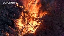 Los bomberos controlan el 26 por ciento del incendio de California